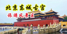 操bwwwcom中国北京-东城古宫旅游风景区